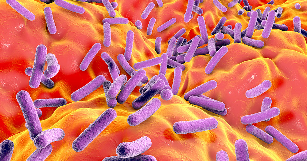 rep microbiome 1000px