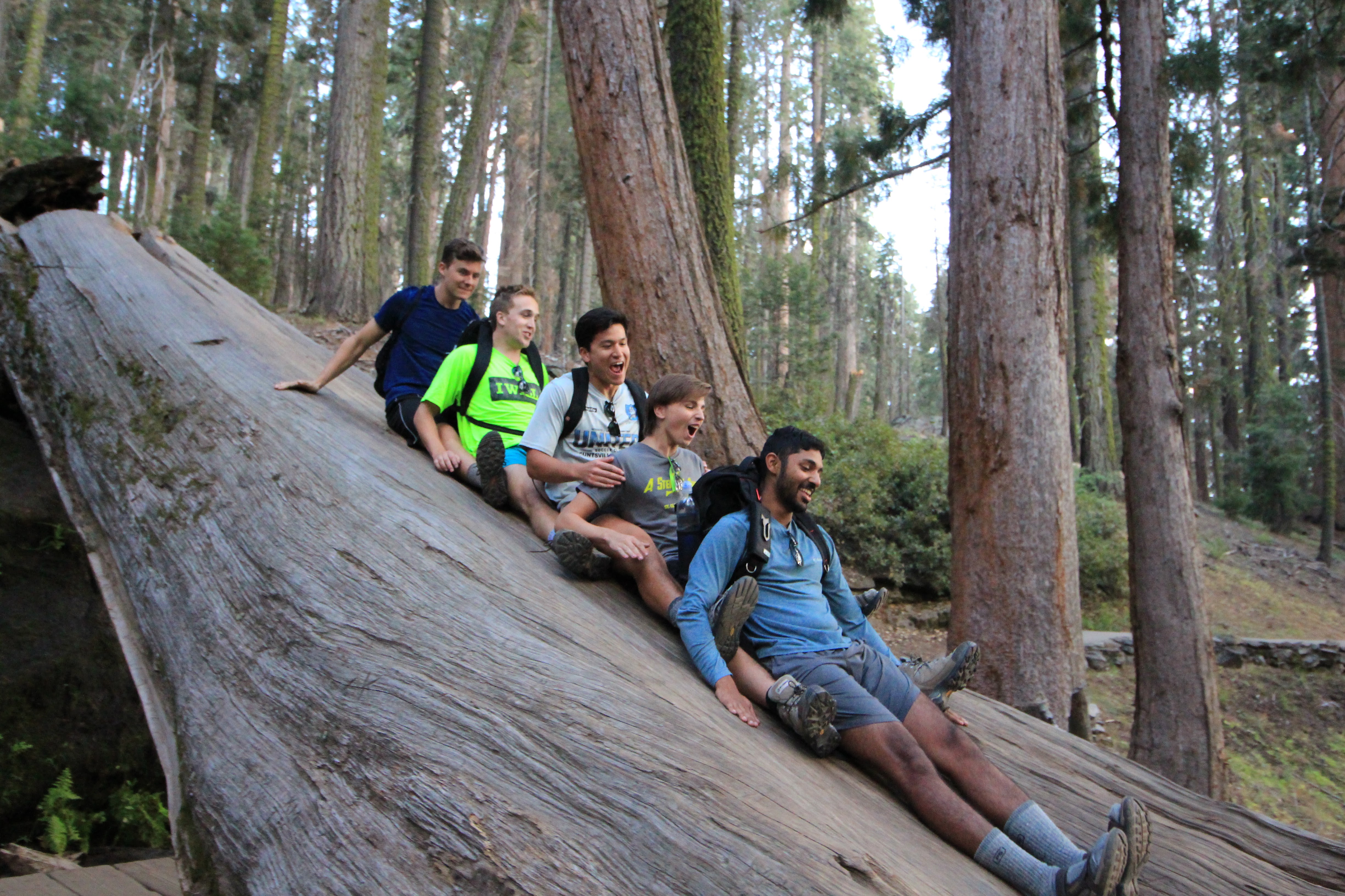 16Hiking On The Congress Trail And Playing On A Fallen Sequoia Tree Sequoiadendron Giganteum Near General Sherman