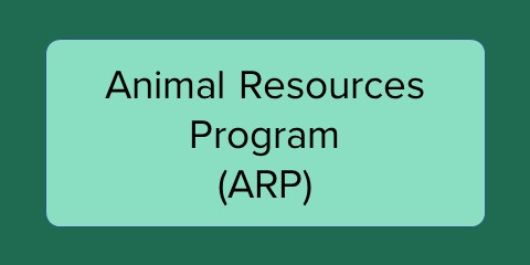 Animals LMS Courses