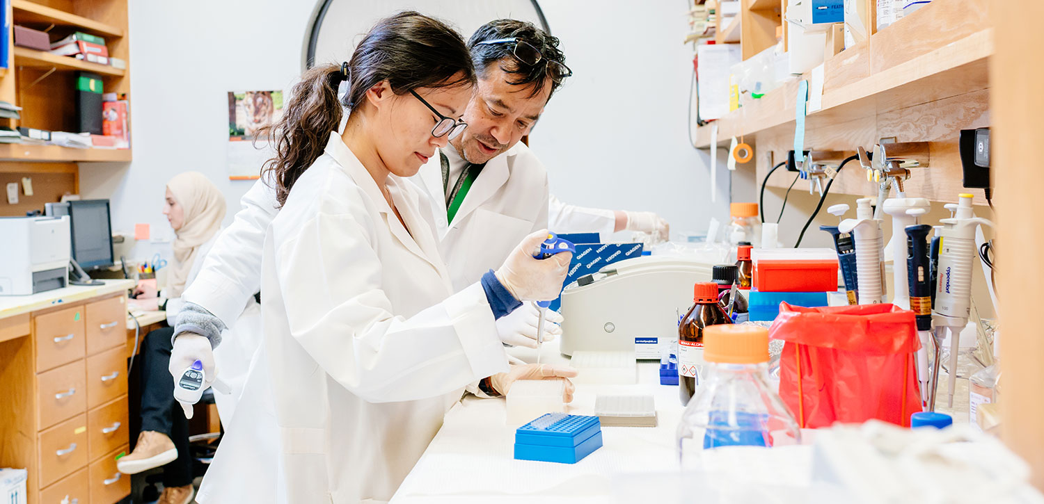 Two people in lab coats using pipette in a lab setting.