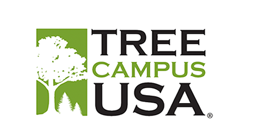TreeCampusUSA