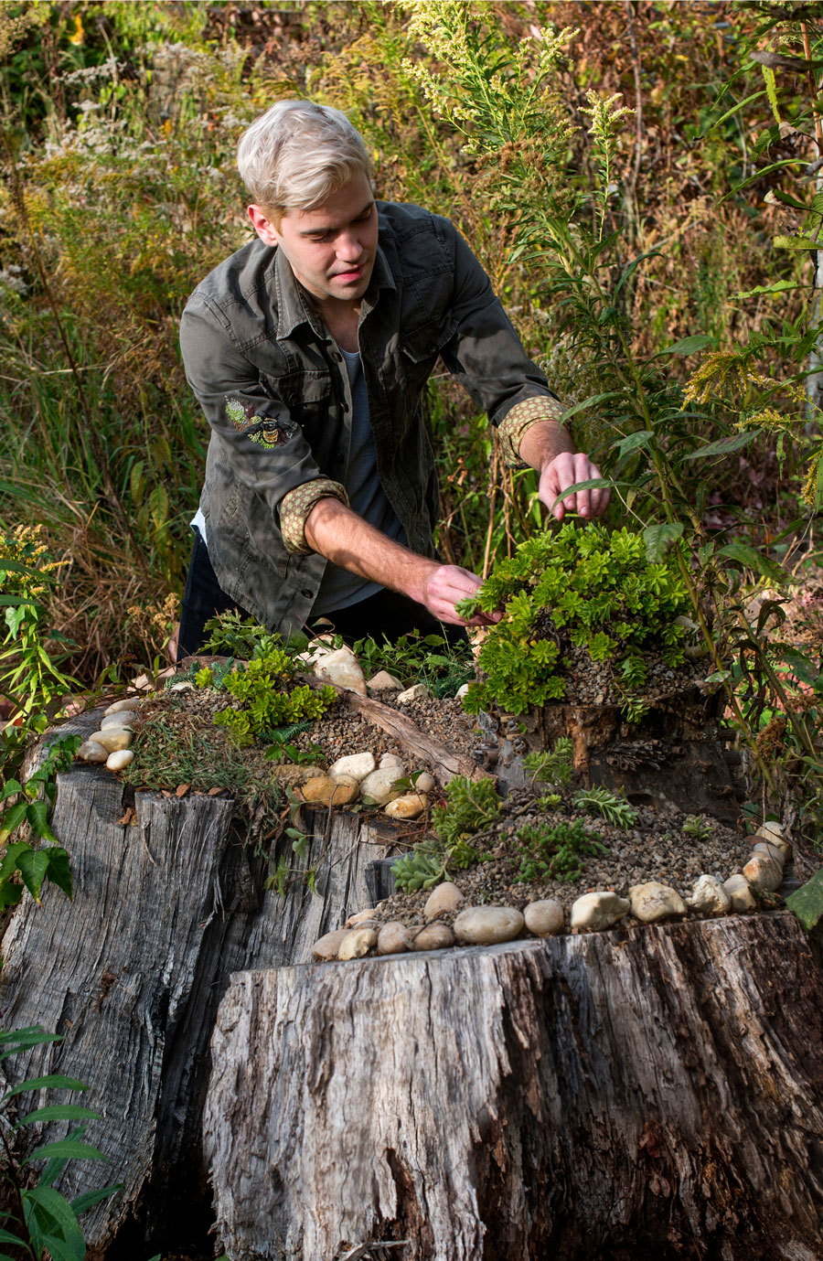 Photo of Jon Woolley adding greenery and rocks to the top of a tree stump