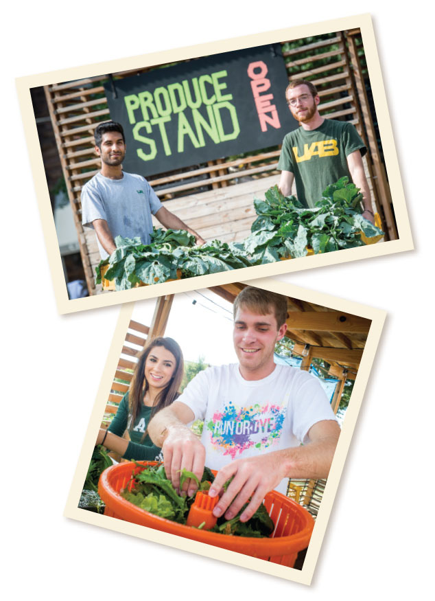Photos of students working at the Jones Valley farm stand