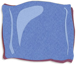spring2011_head-pillow-cut-out