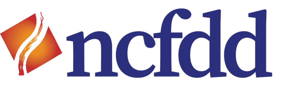 Ten awarded sponsorship for NCFDD Faculty Success Program