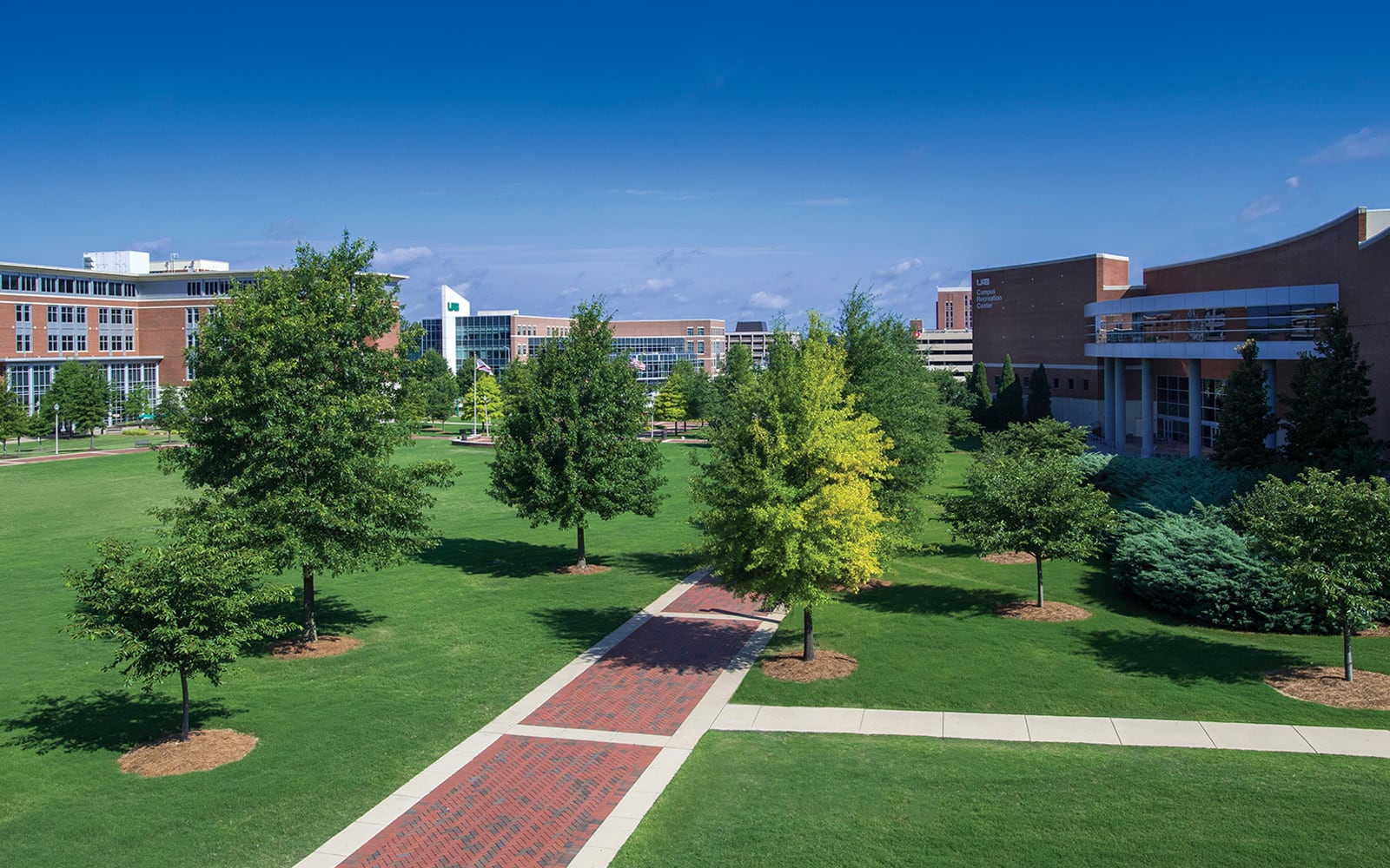 Pathway winding through trees on the campus green