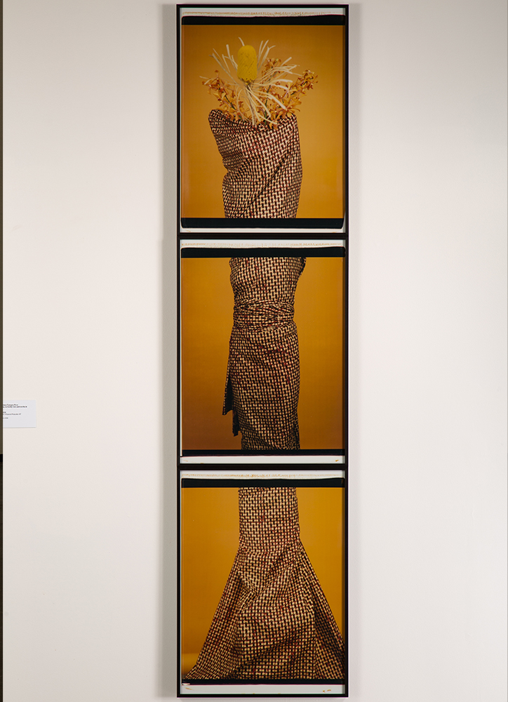 Picturing/Performing the Self AbromsEngel Institute for the Visual Arts