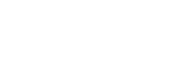 AEIVA Abroms-Engel Institute for the Visual Arts logo