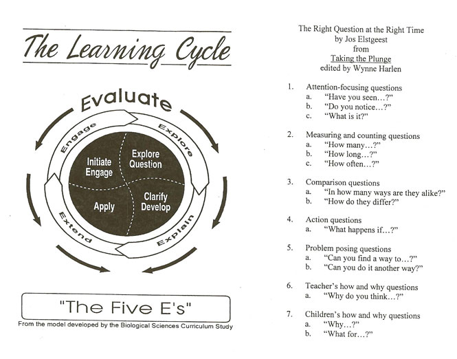 TheLearningCycle