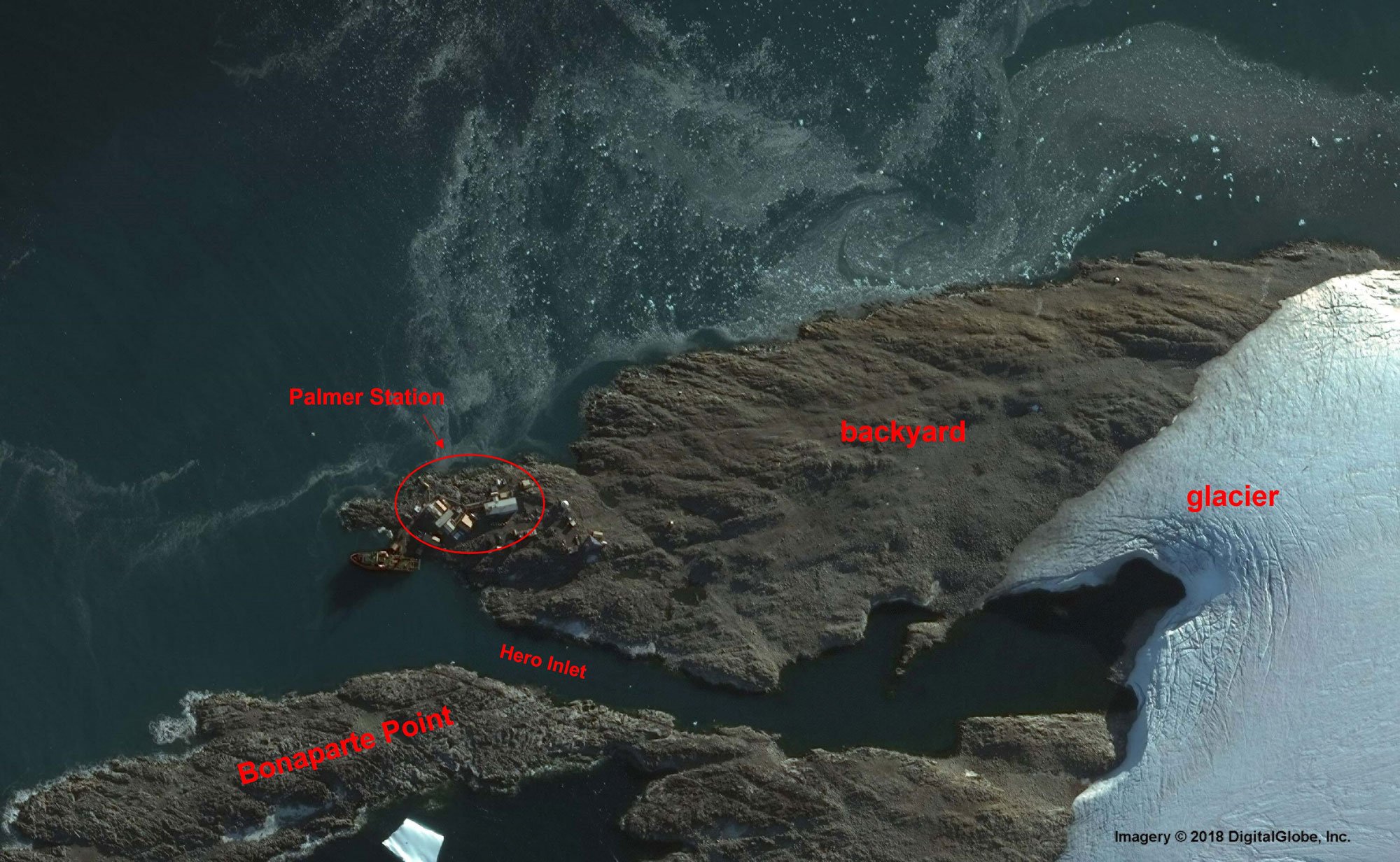 Aerial view of Palmer Station buildings, the dark granite rocky backyard and Bonaparte Point and the beginning edge of the snowy glacier surrounded by greenish-blue waters of Arthur Harbor which meanders into Hero Inlet.