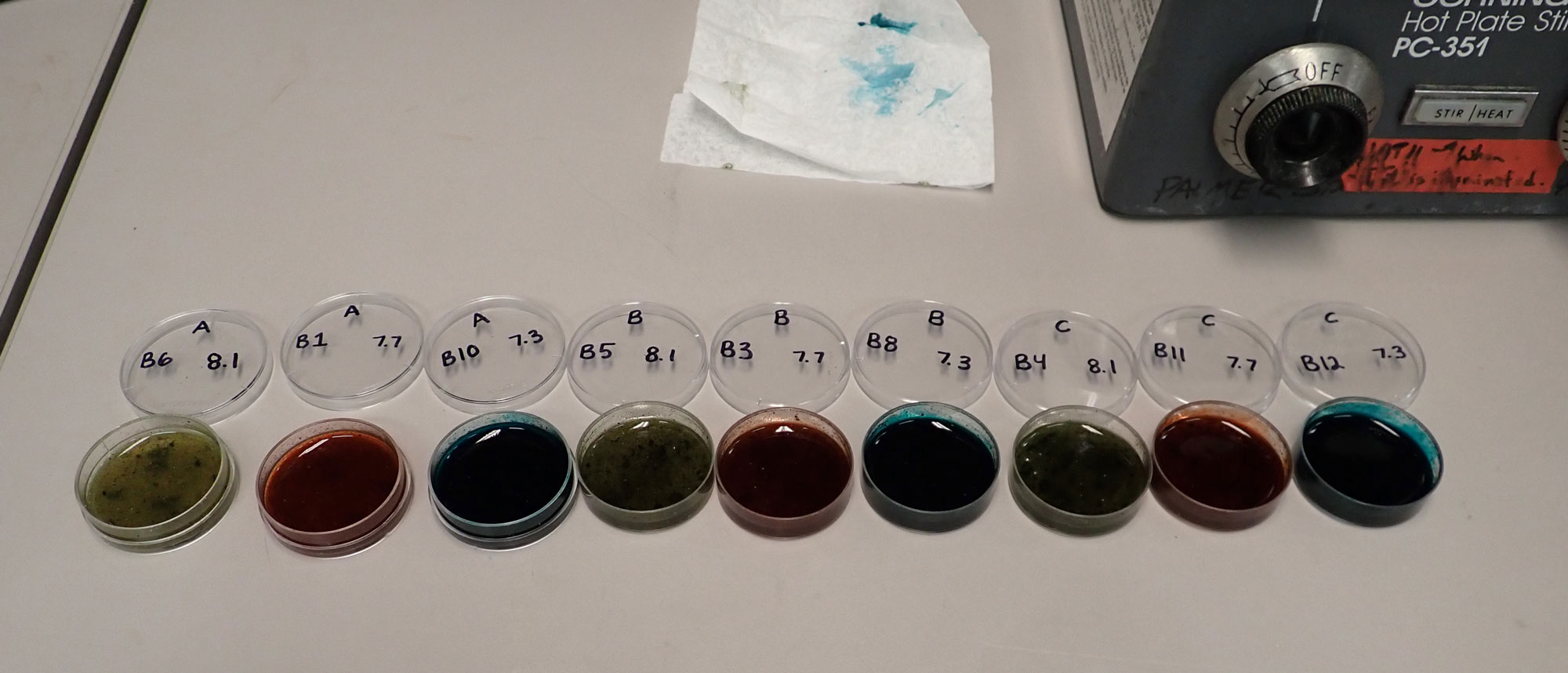 Three sets of small petri dishes labeled A,B, or C with green, red, or blue filling