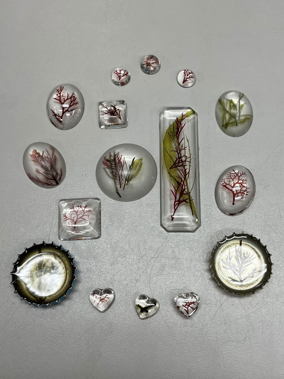 Red, green and brown bits of algae set in clear resin molded into various shapes like hearts, ovals and rectangles; metal bottle caps filled with resin and algae.
