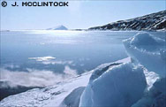 wow ant: ice edge looking for killer whales 31.jpg