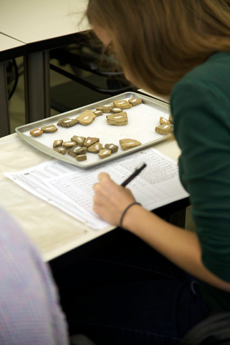A student working in the Anthropology lab. 
