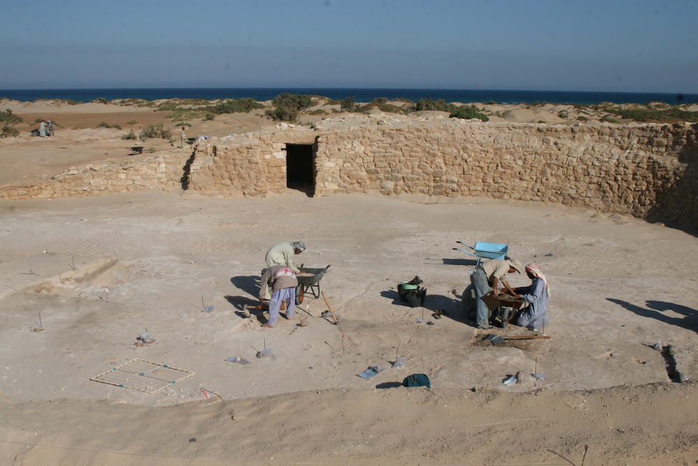 UAB/SCA 2008 expedition to Ras Budran (South Sinai, Egypt): Project director, G. Mumford, and Bedouin workers sieving materials from excavation grid across floor surface associated with late Old Kingdom fort in Sinai (Photo: P. Carstens).