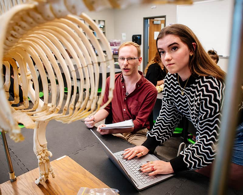 Anthropology students looking at skeletal artifacts. 