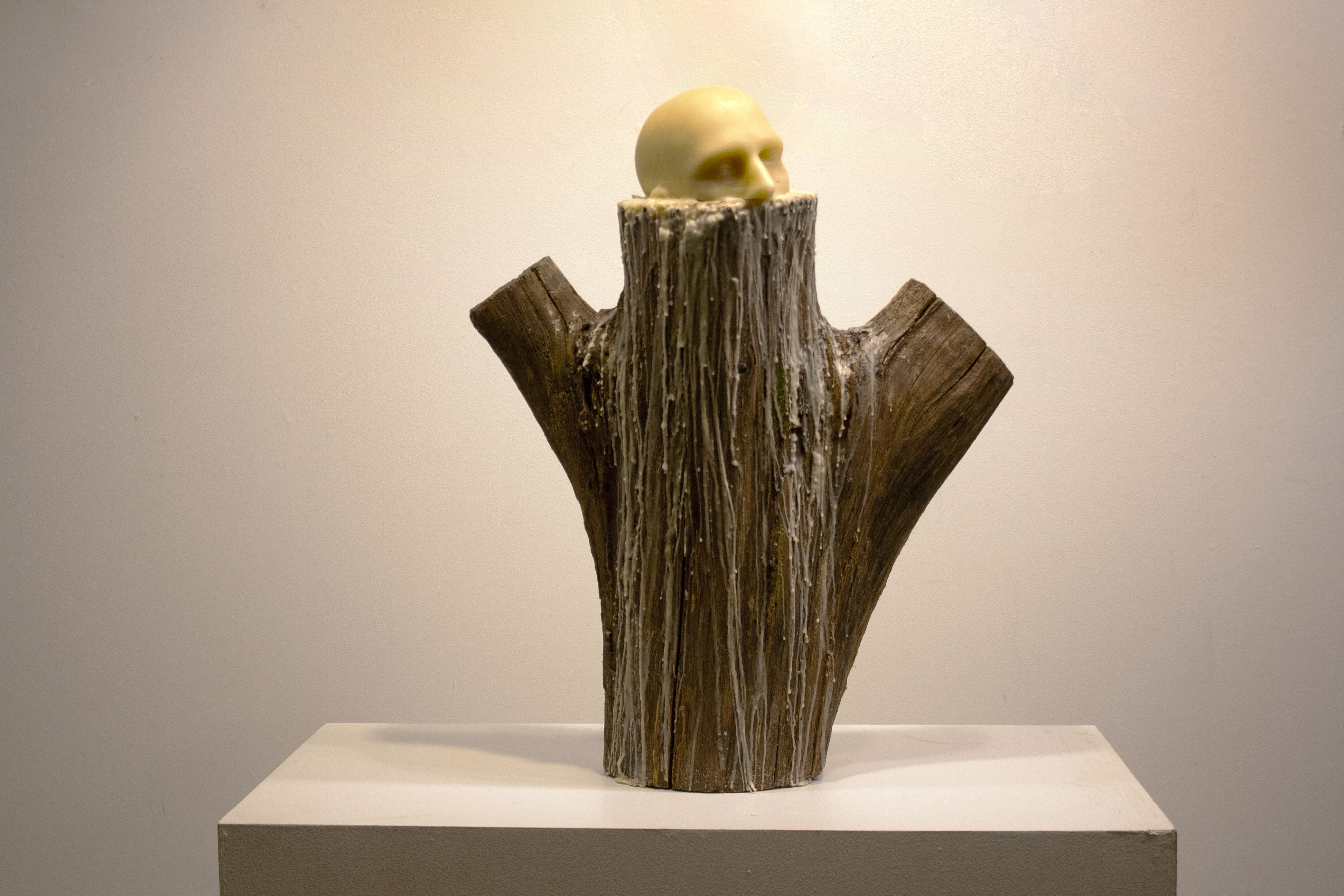 1 OrganicallyIntertwined Stump01