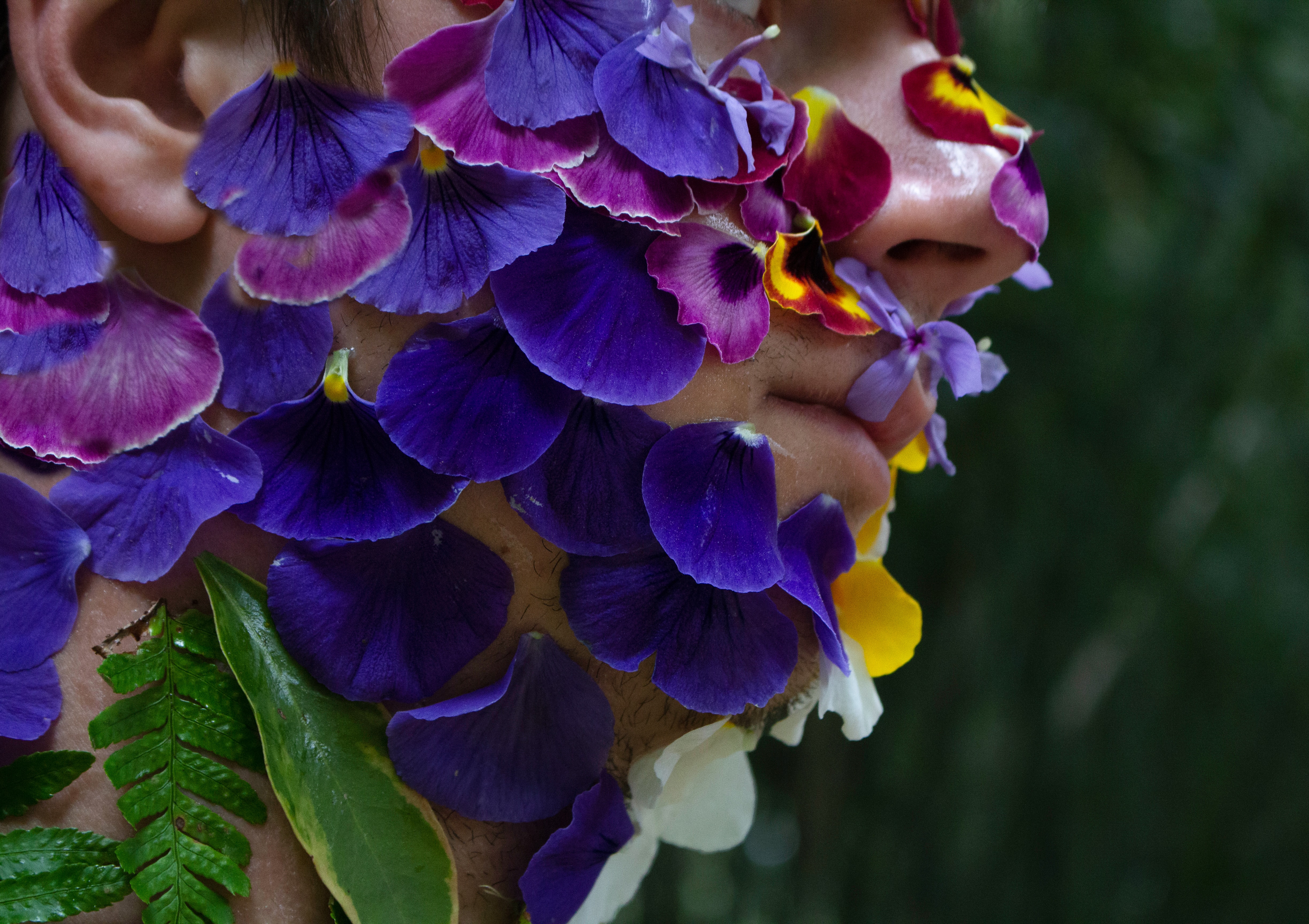 2 OrganicallyIntertwined Photo02