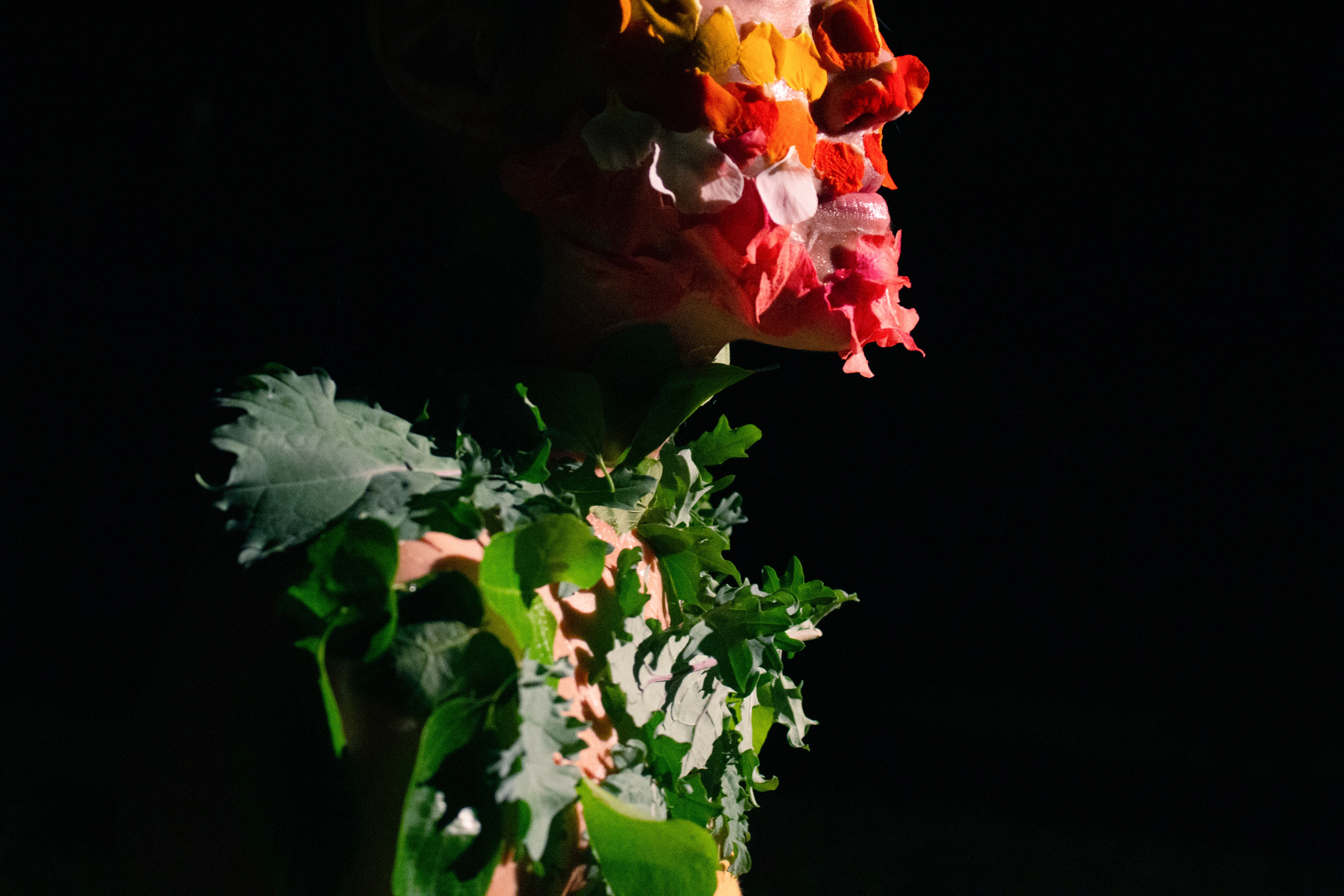 2 OrganicallyIntertwined Photo06