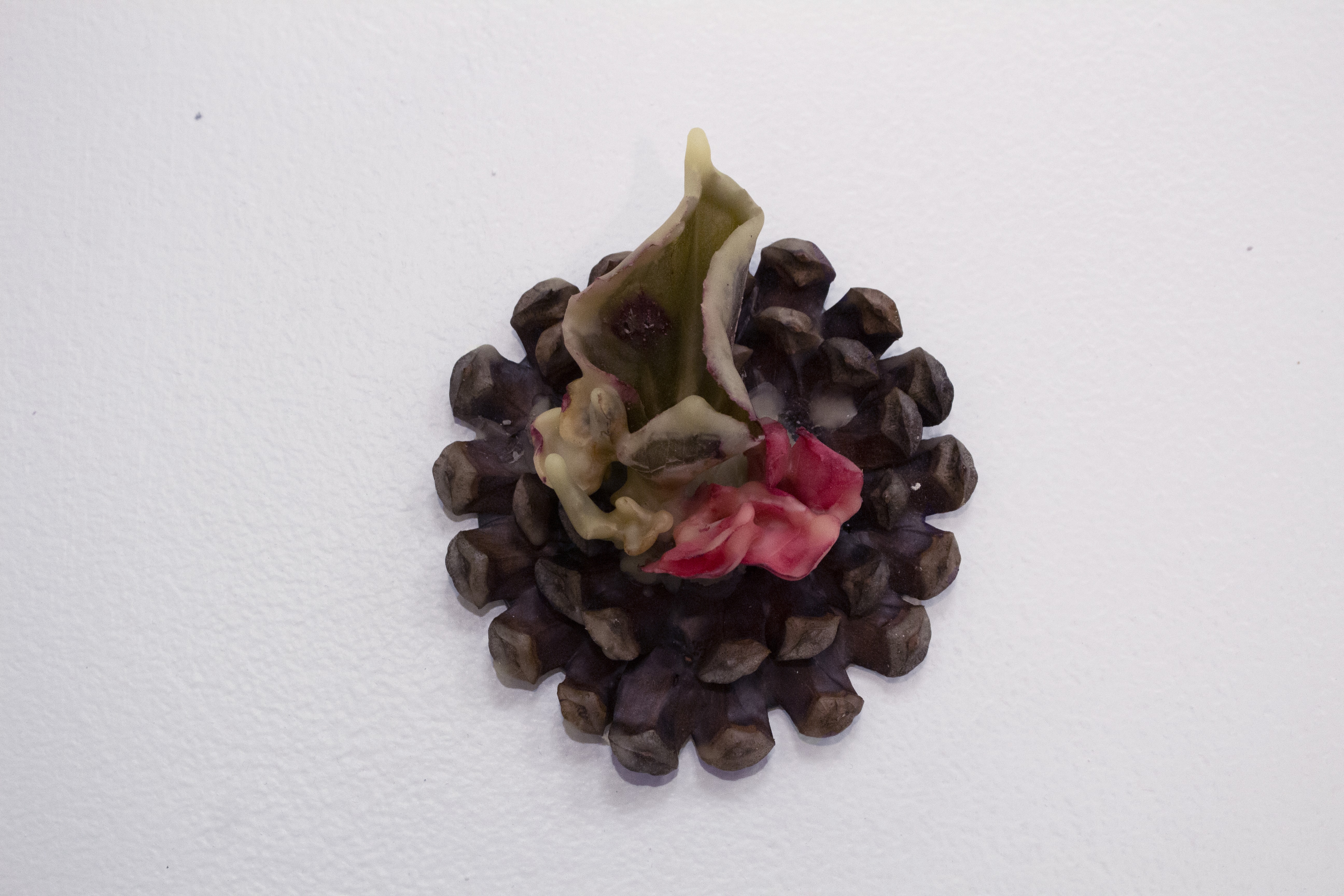 3 IntimateOrganics 01