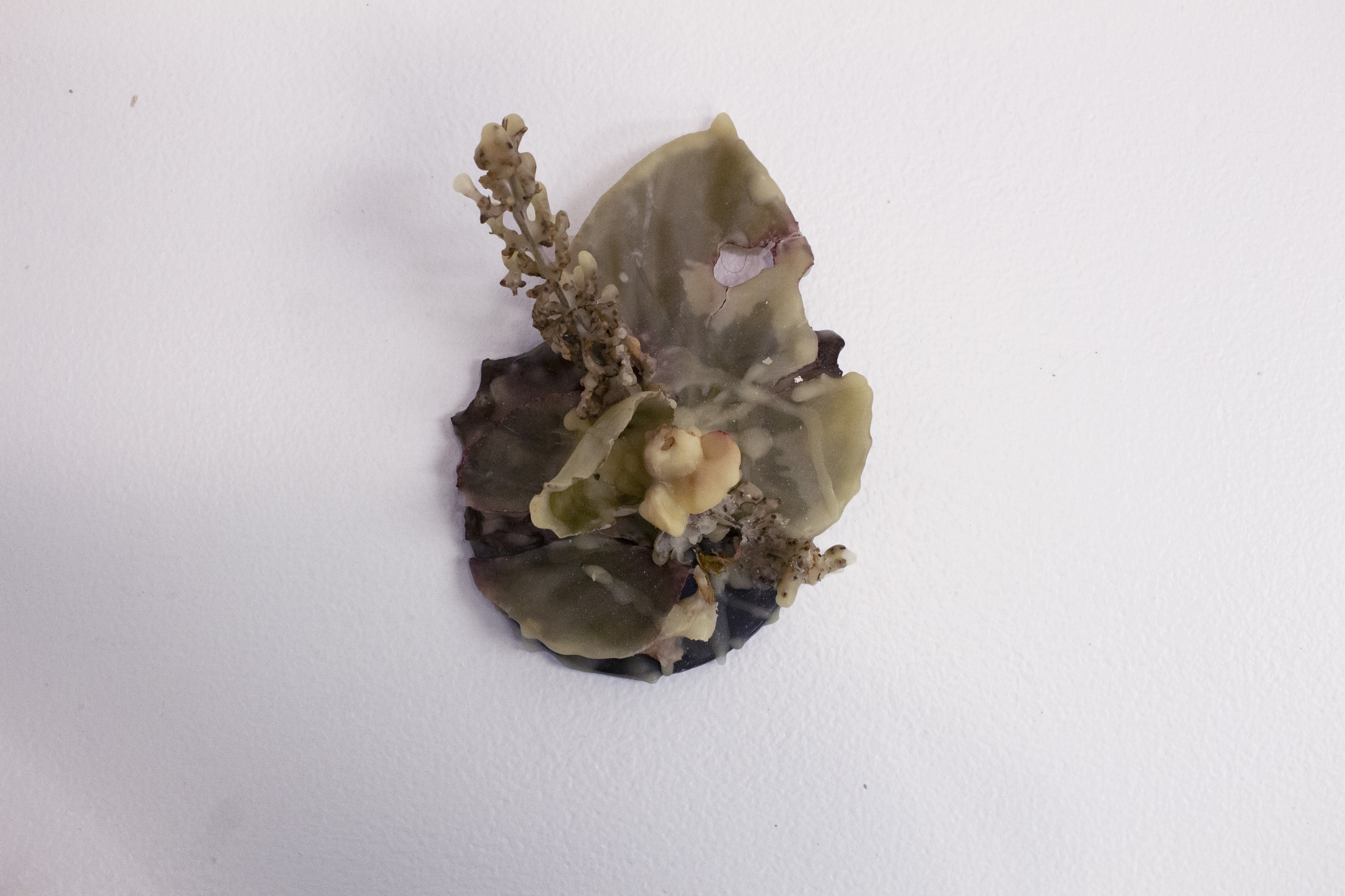 3 IntimateOrganics 02