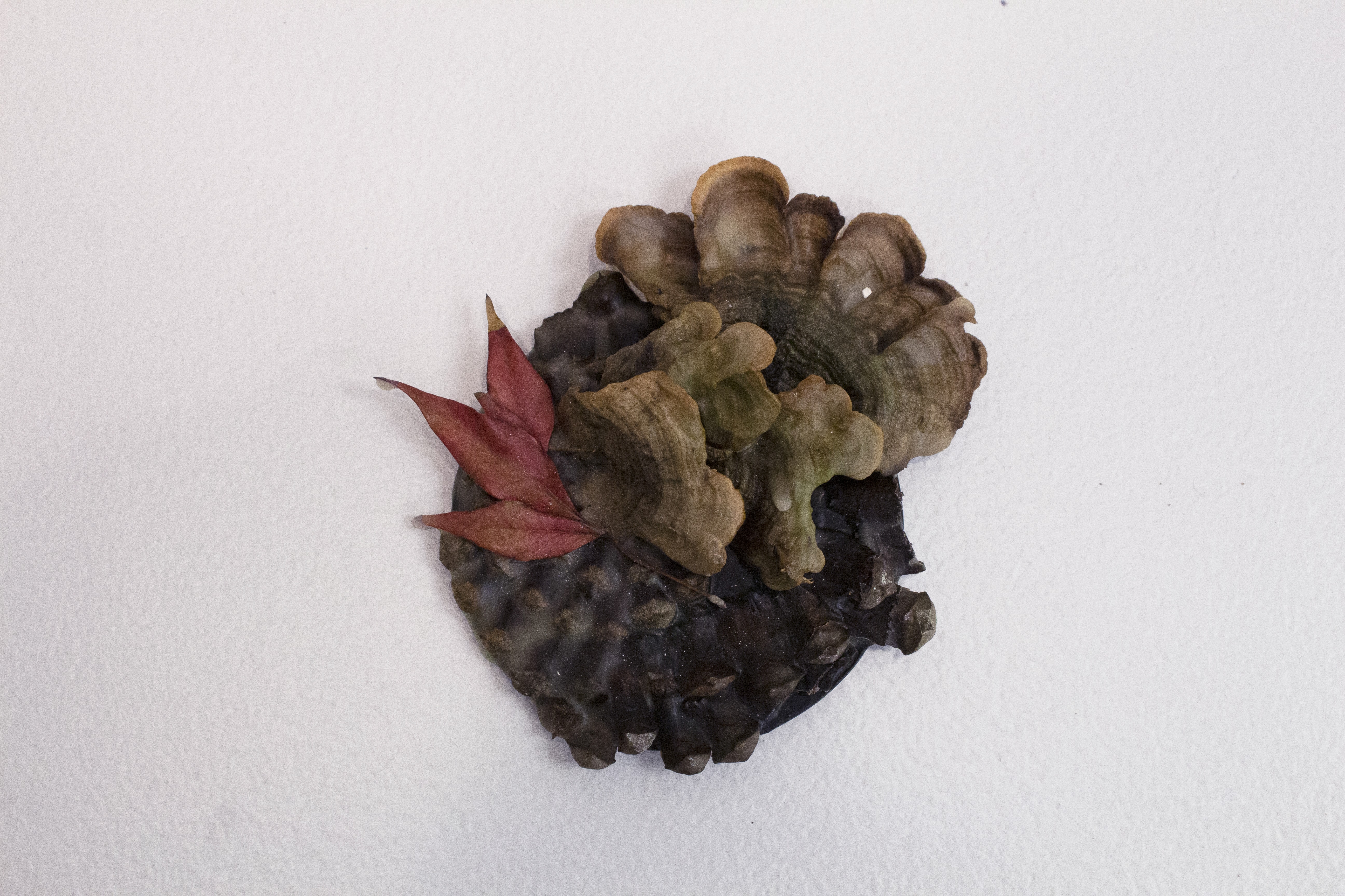 3 IntimateOrganics 03