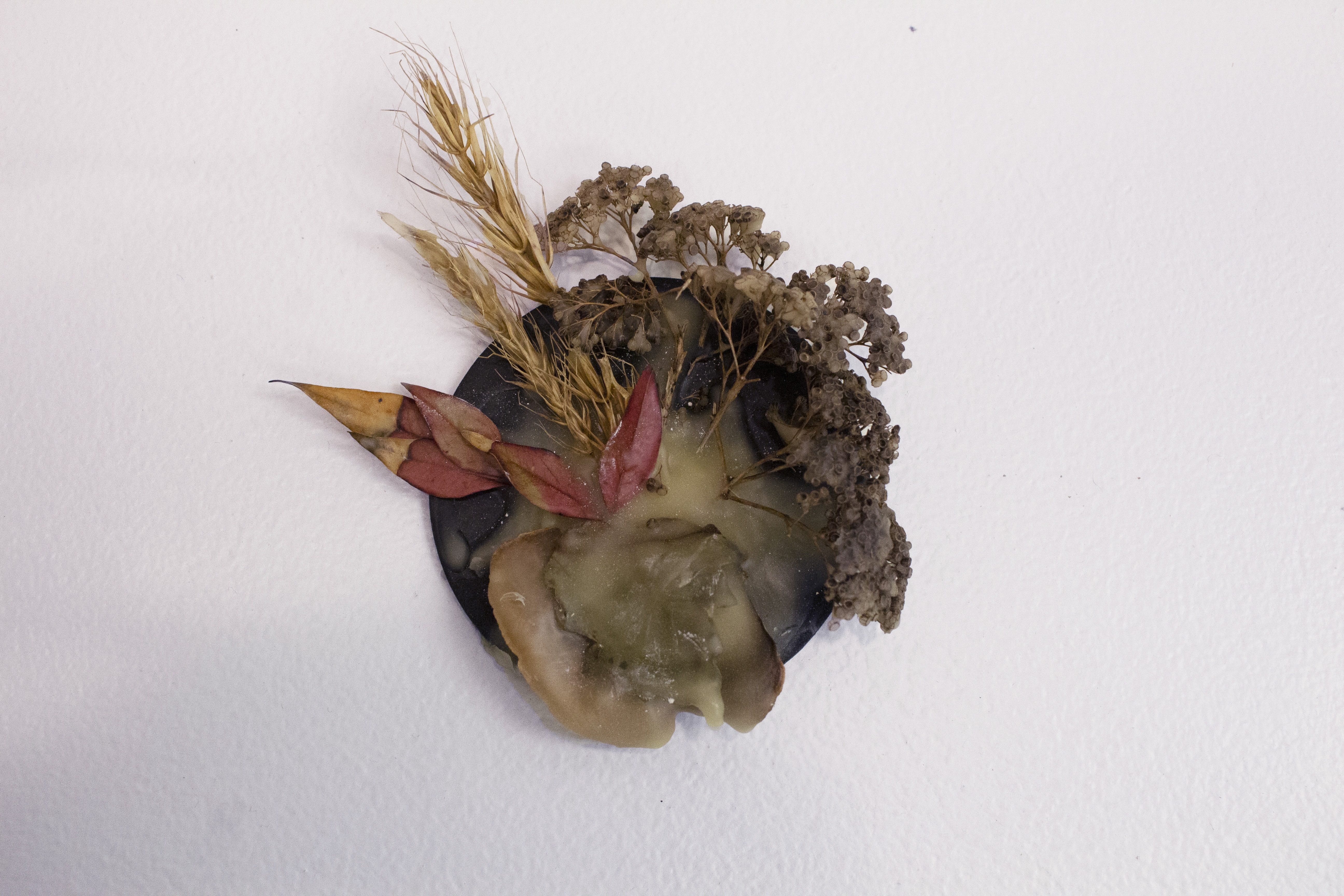 3 IntimateOrganics 04