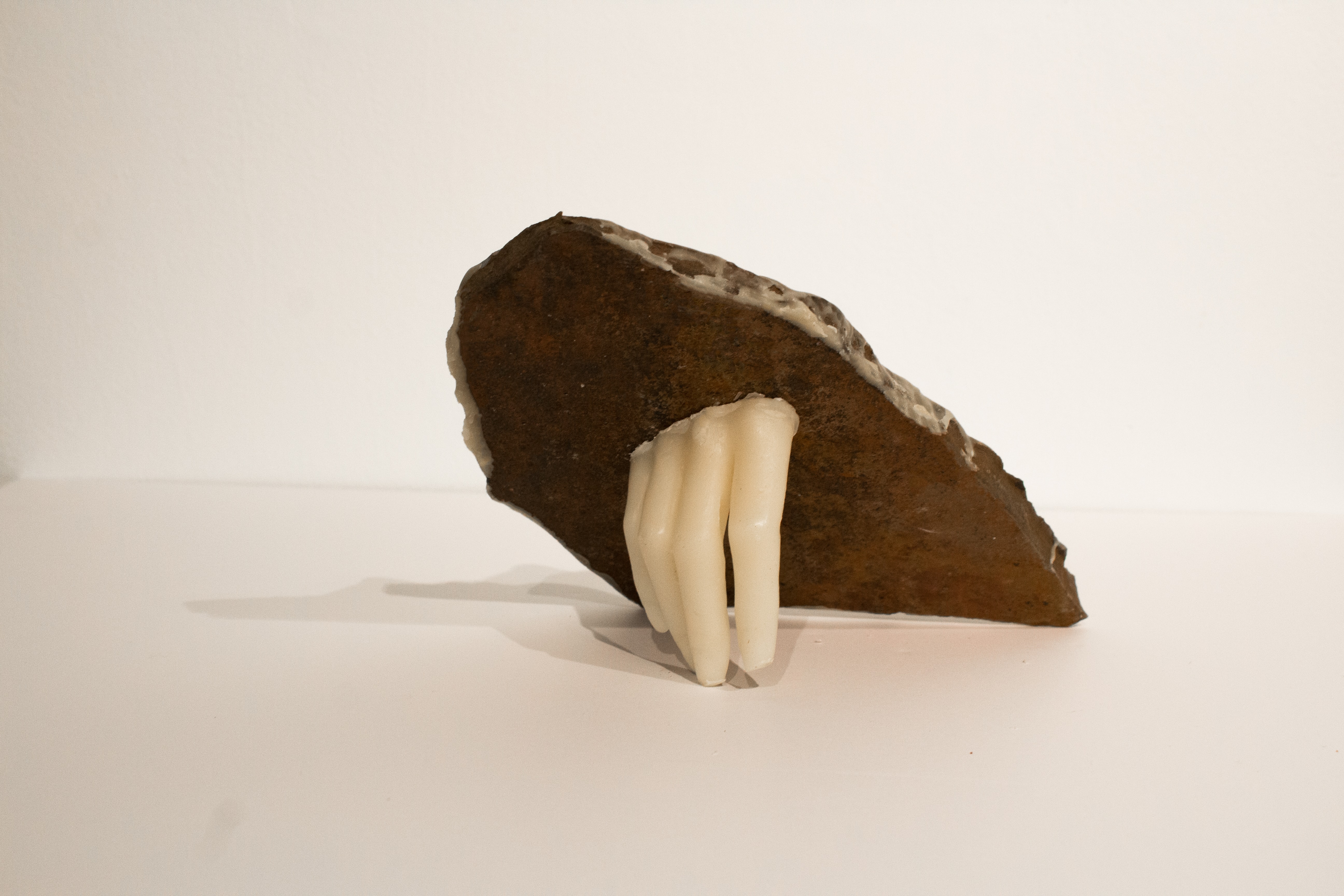 7 OrganicallyIntertwined Sculpture04b