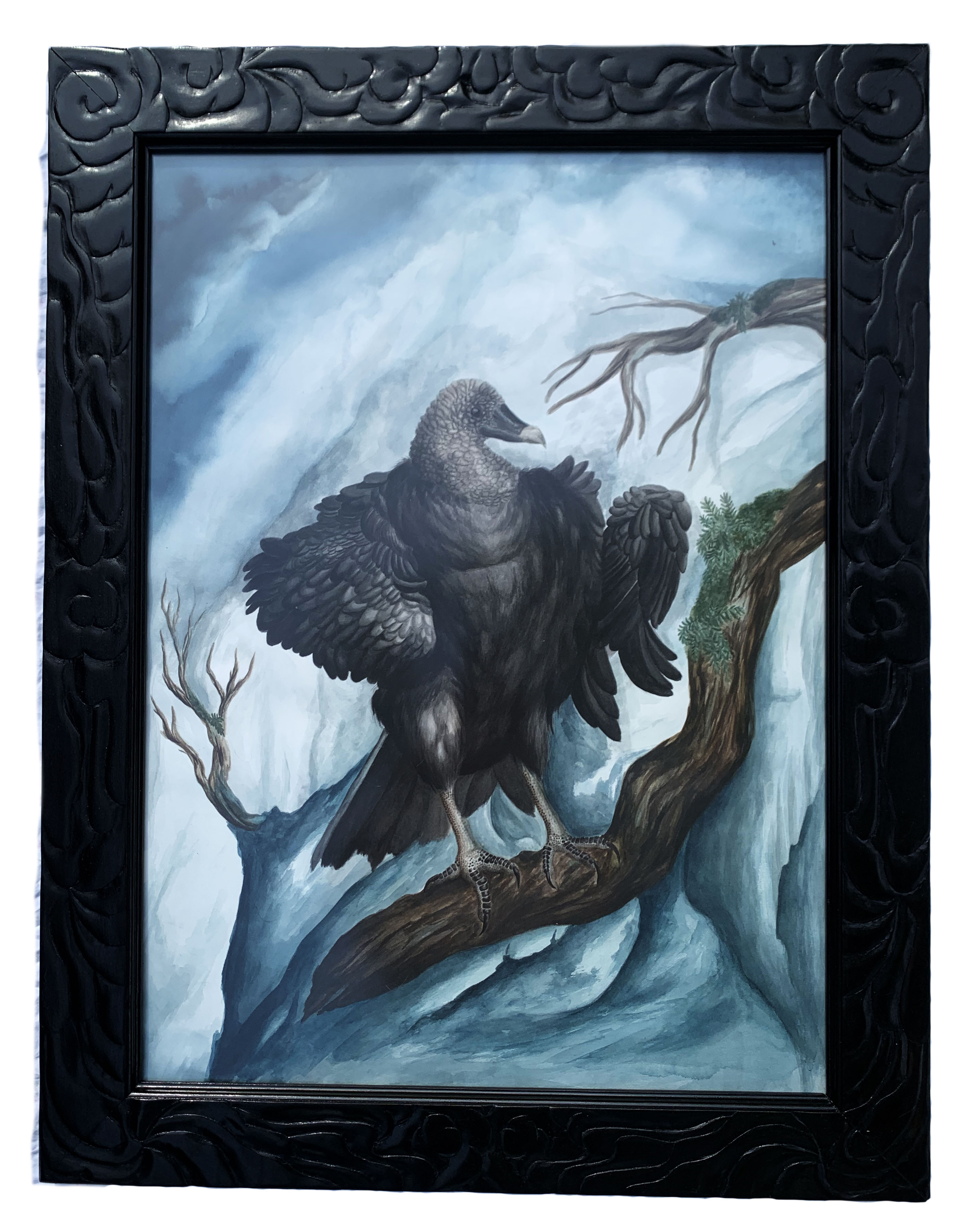 Bfa1 Abbreviated Saint