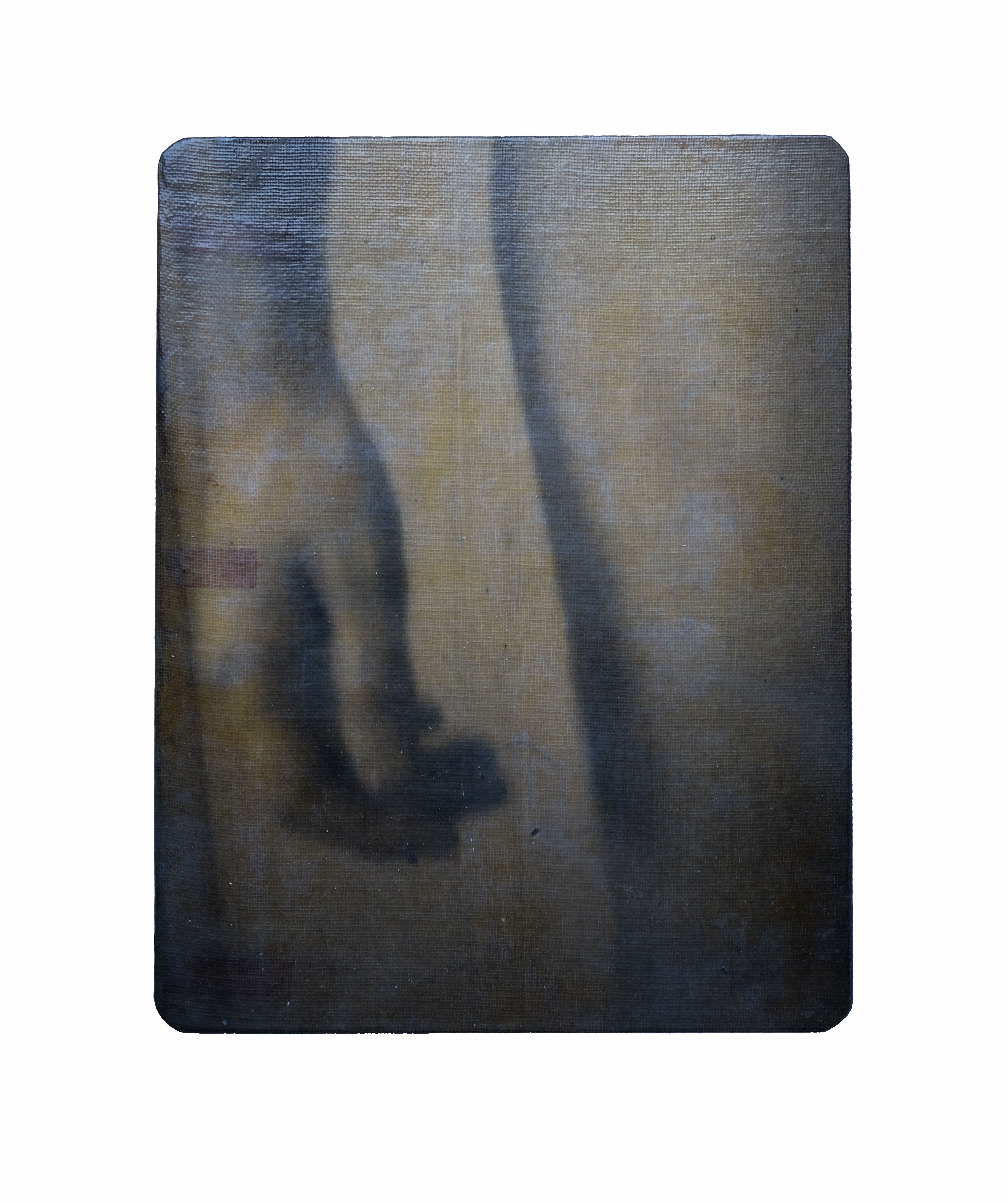 2 DissectionDetail 2020 2