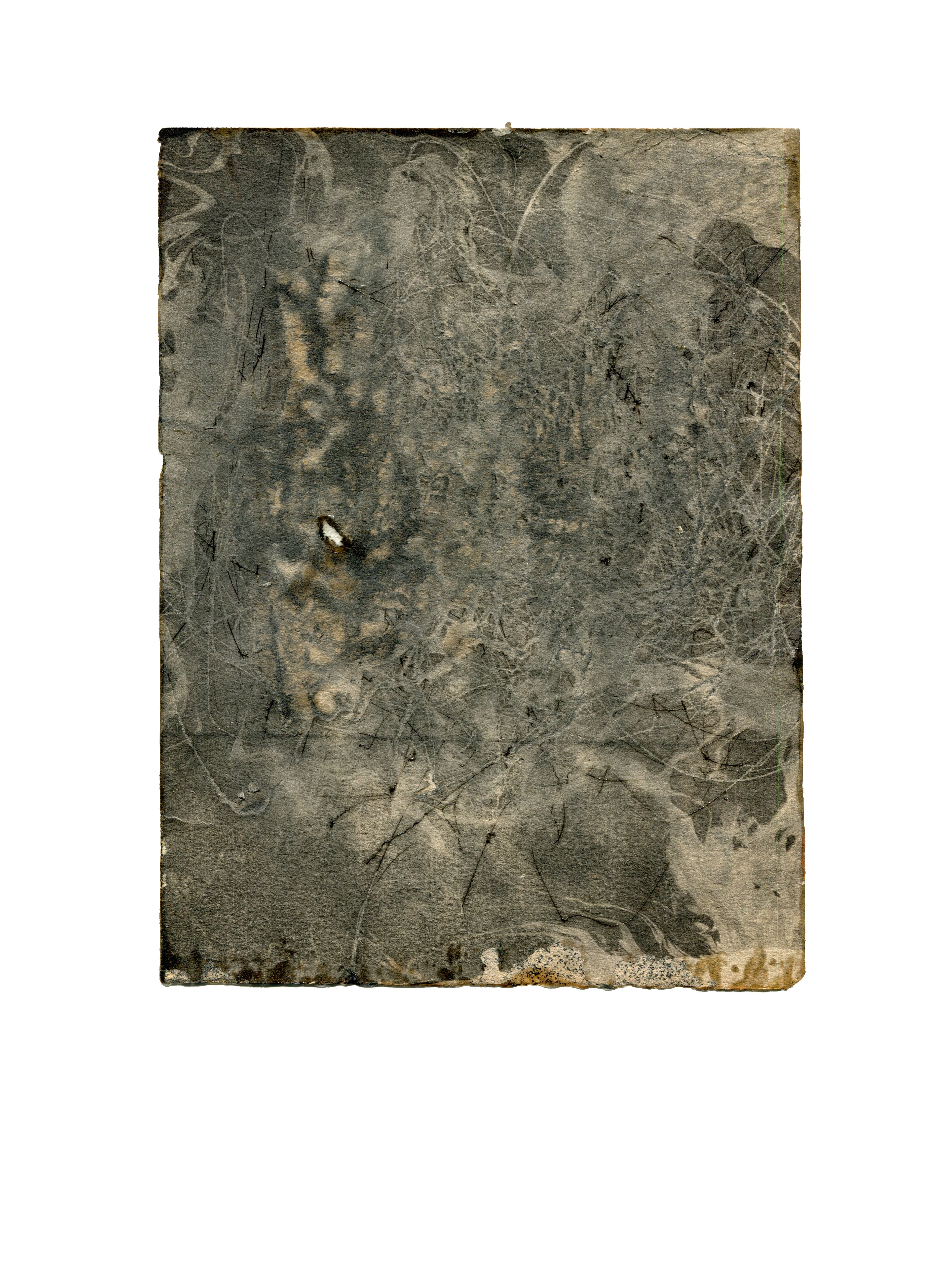 2 DissectionDetail 2020 3