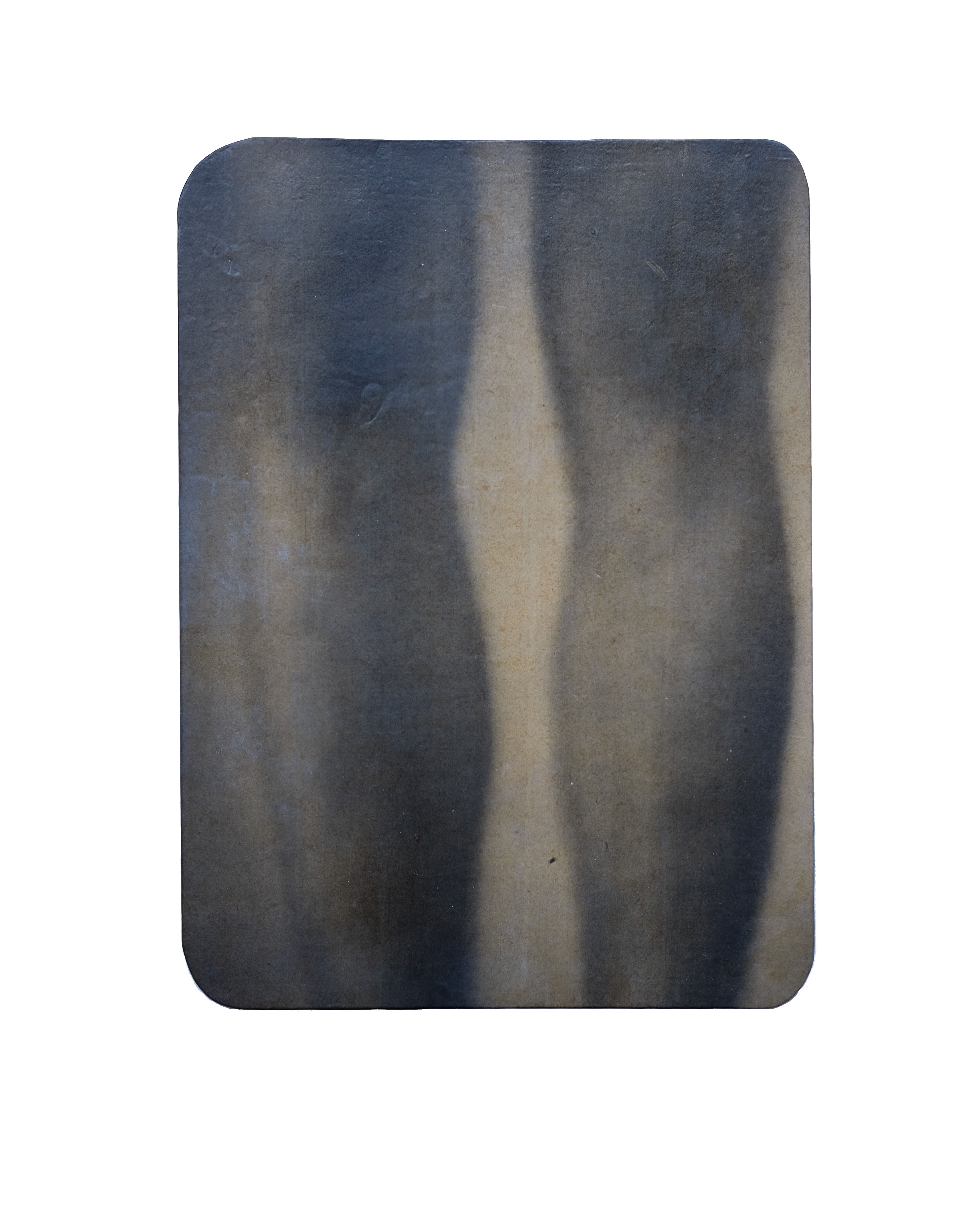 2 DissectionDetail 2020 4