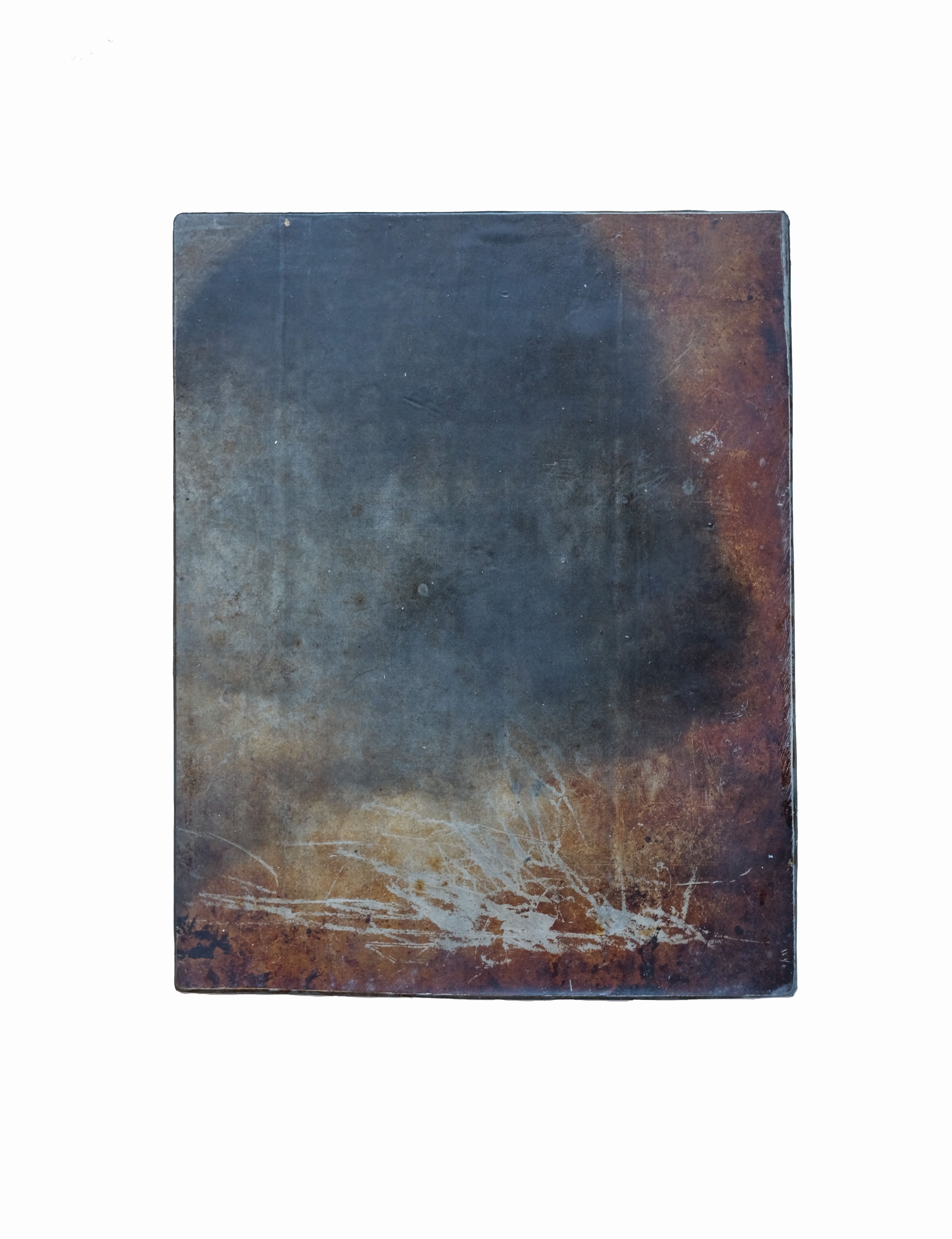 2 DissectionDetail 2020 5