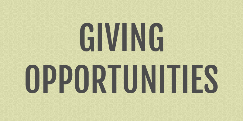 Giving Opportunities