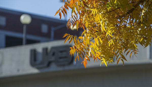 One of UAB's pedestrian bridges in the fall. 