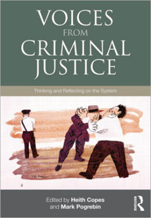 Voices from Criminal Justice: Thinking and Reflecting on the System