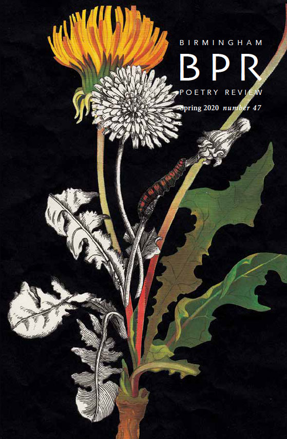 Cover of BPR 47, a painting of dandelions. 