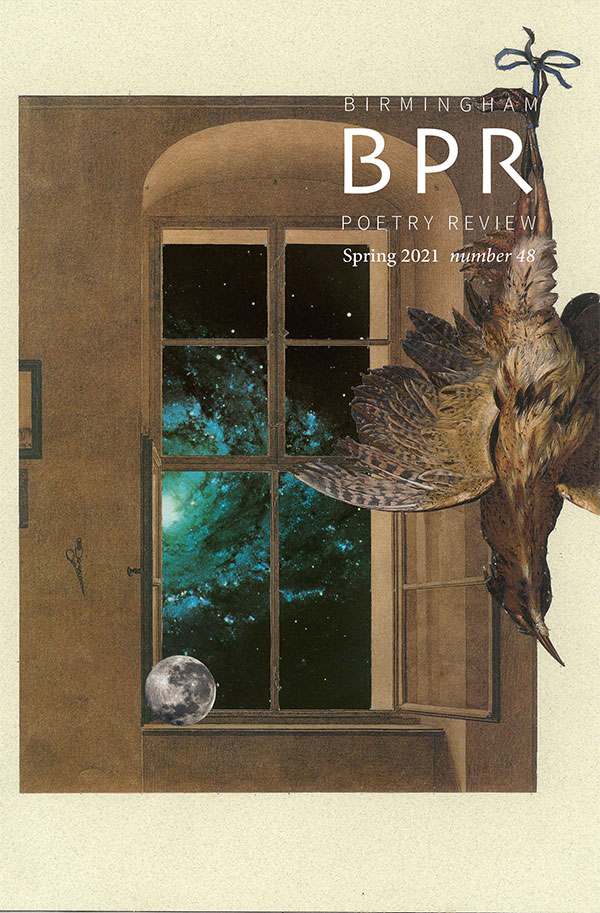 Cover: a slain bird hanging in front of a window with a view of the galaxy. The moon sits on the windowsill.