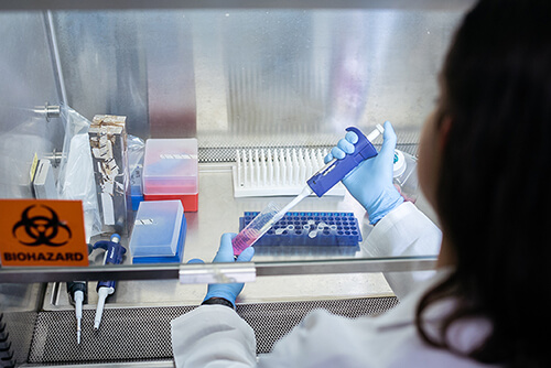 Student working in a lab under a biohazard shield. 