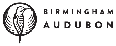 Birmingham Audubon logo