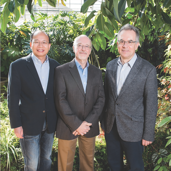 Dr. Yuliang Zheng, Dr. Richard Dluhy and Dr. Ilias Perakis