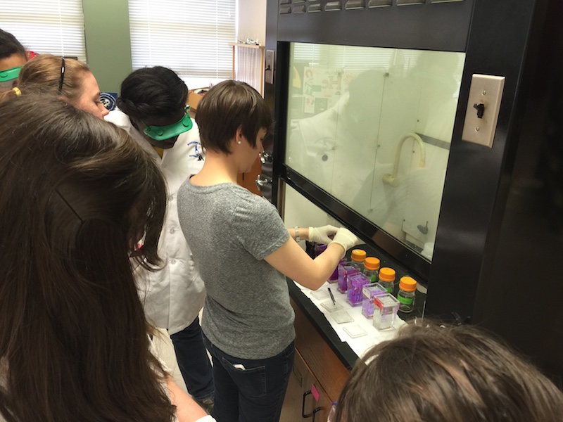 Dailey Nettles MSMS 2