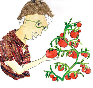 Illustration of a woman tending a tomato plant. 