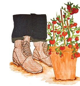 Image of a person's booted feed standing next to a tomato plant.