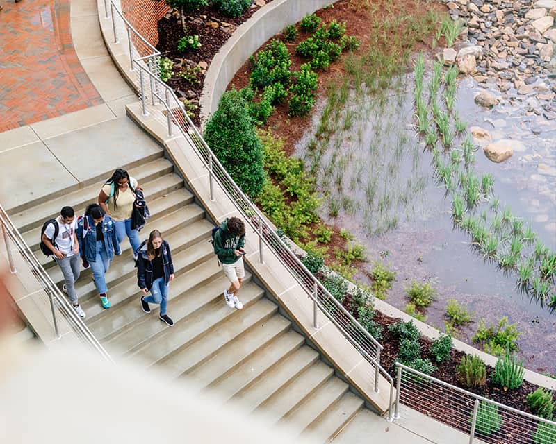 A groups of students walking down a set of stairs outside, next to a pond.