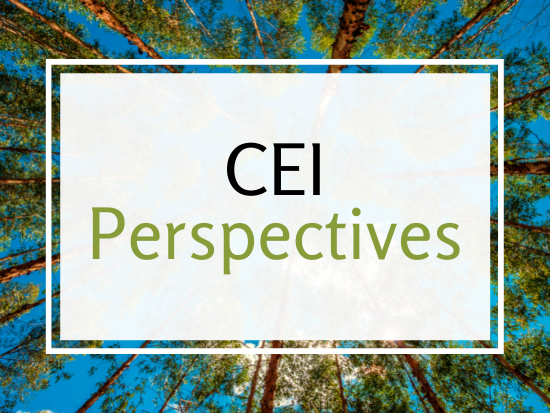 Community Engagement Institute (CEI) Perspectives: Maternal Mortality, April 27th