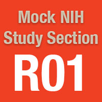 Mock NIH Study Section to Review R01 Application