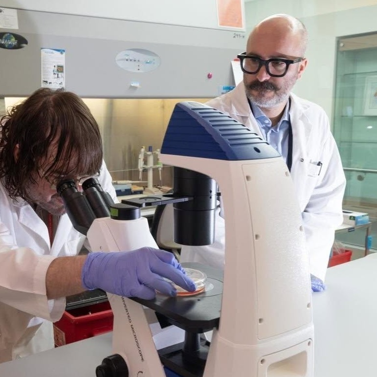 Nerves Fuel Breast Cancer Metastasis Through Mitochondrial Transfer