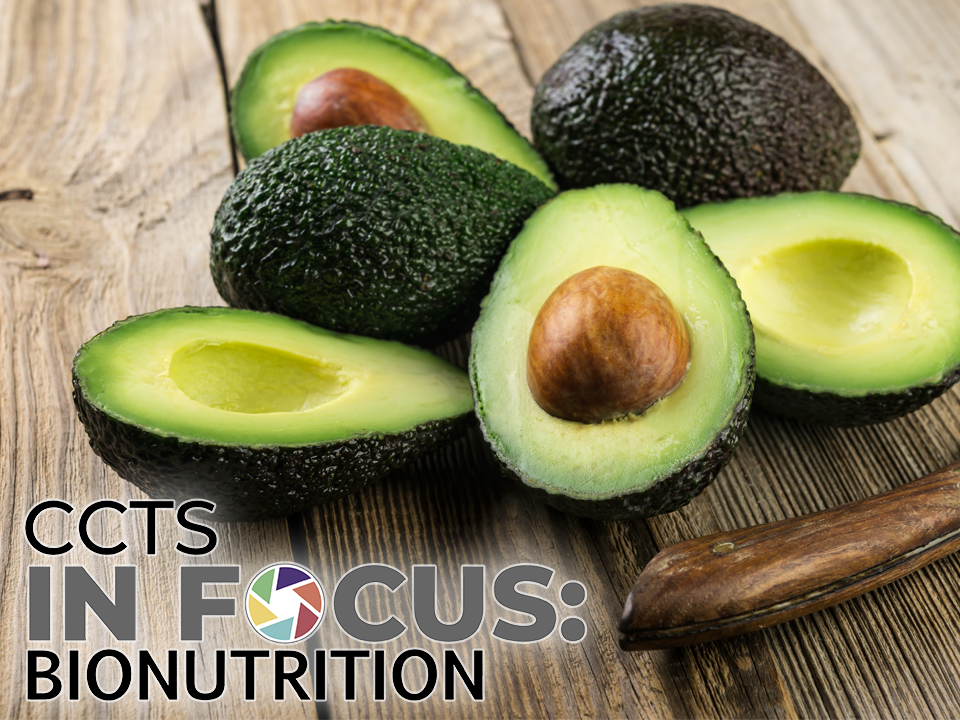 Basic Kitchen Skills: How to Slice an Avocado