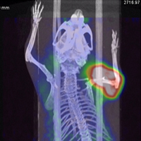 CCTS Launches New Radiology Research Pilot